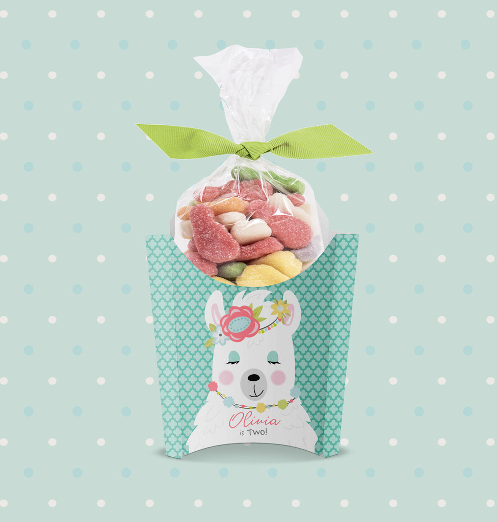 Party Favor Boxes